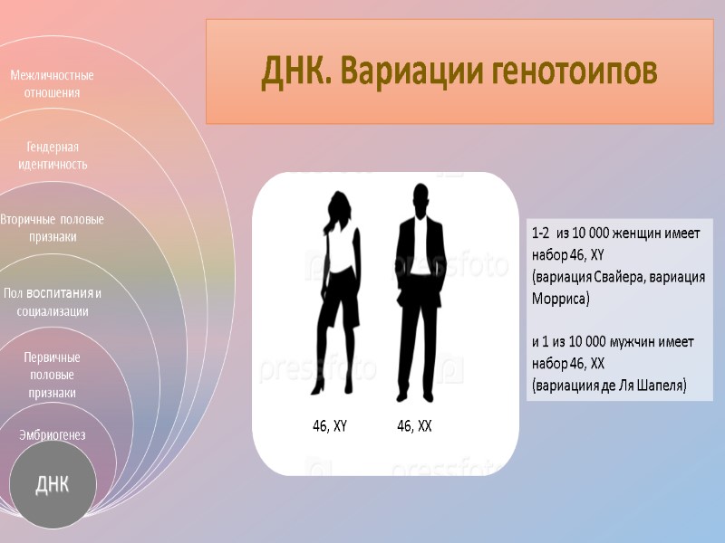 ДНК. Вариации генотоипов 46, XY 46, XX 1-2  из 10 000 женщин имеет